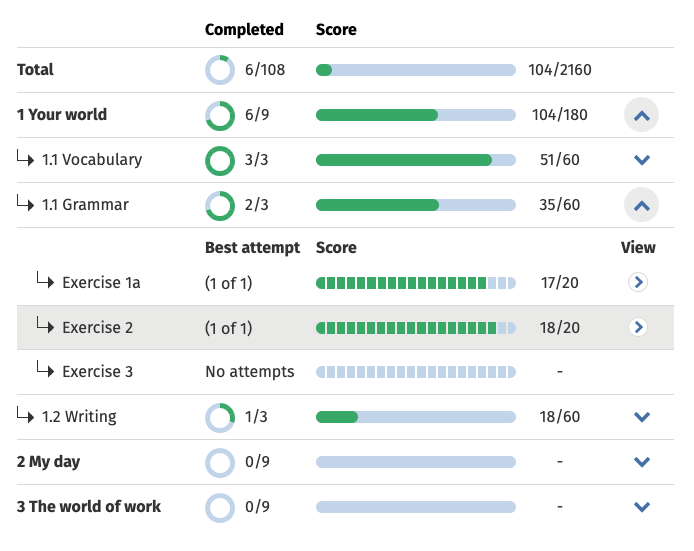 View of one student's scores in different activities in a product.
